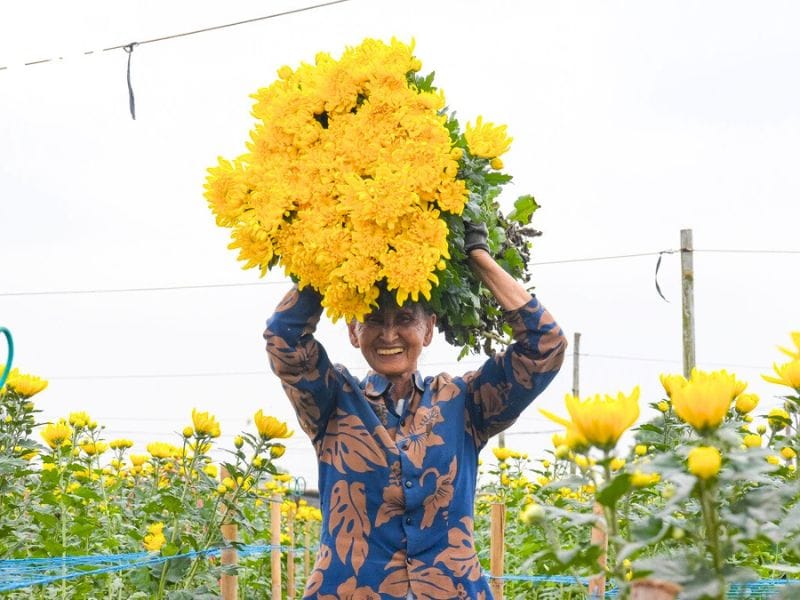 Village de fleurs de Tay Tuu