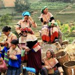 esperienze autentiche Vietnam