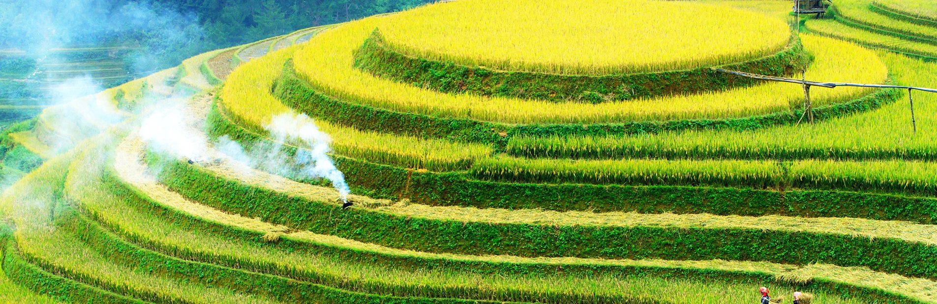 viaggio in Vietnam