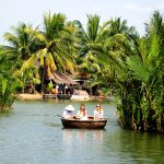 foresta di cocco acquatico di Bay Mau