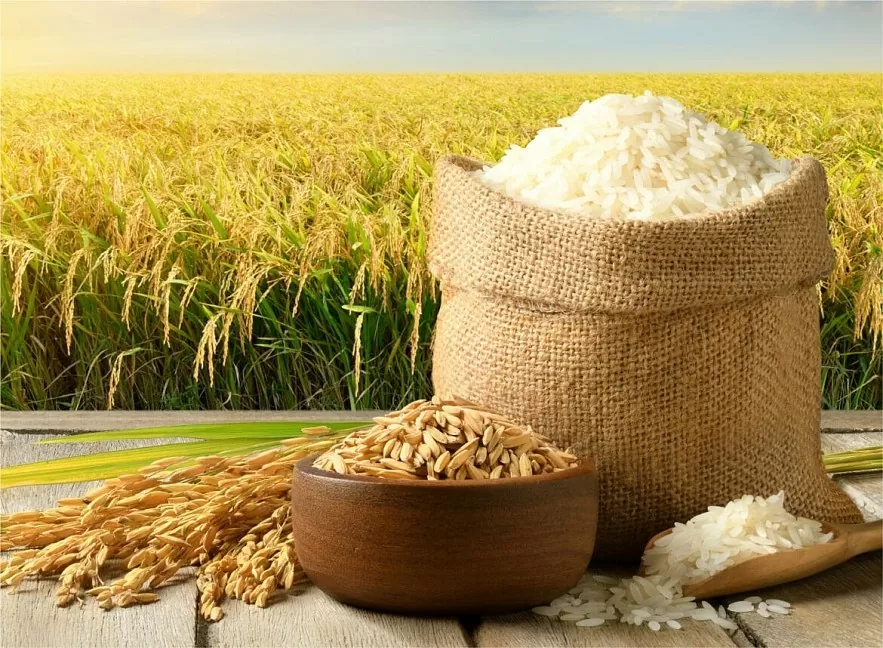 Rice in Vietnam: An Ancestral and Sacred Culture