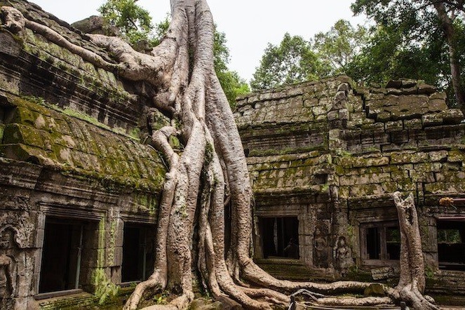 Angkor Wat Cambogia