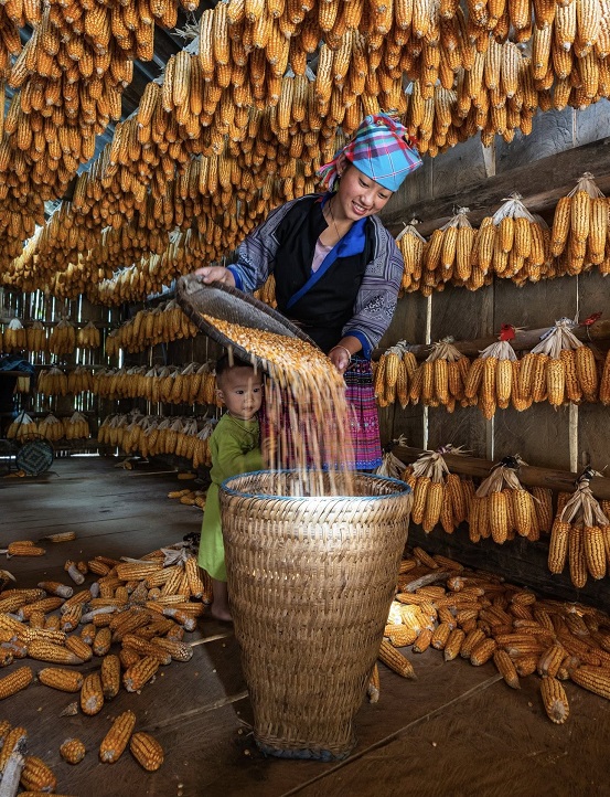 gli Hmong in Vietnam