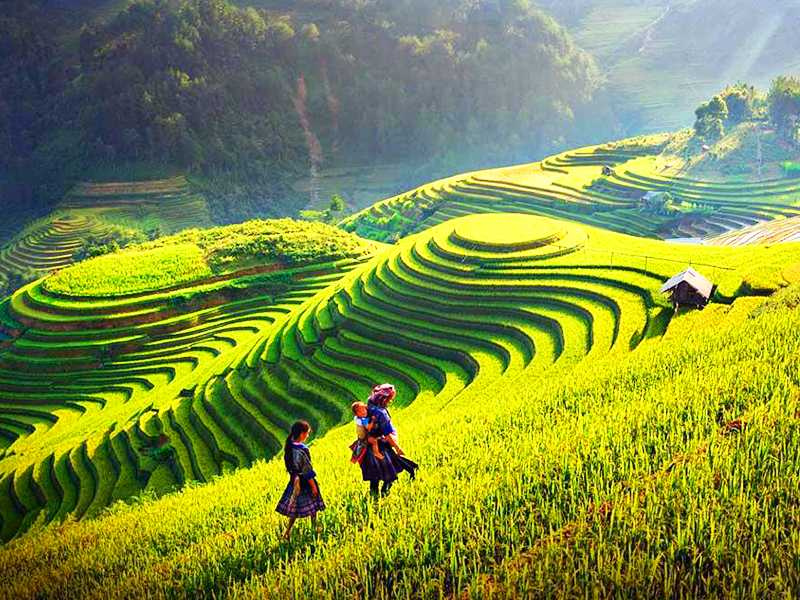 Sapa