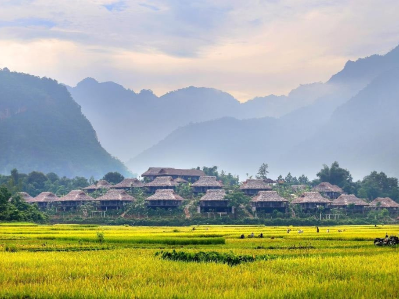 Mai Chau