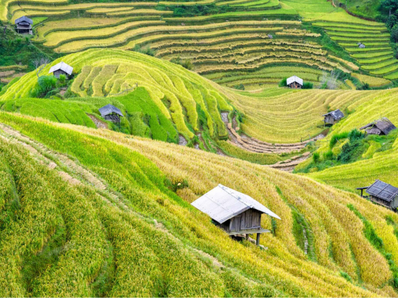 Viaggio in Vietnam – Tutto quello che c’è da sapere