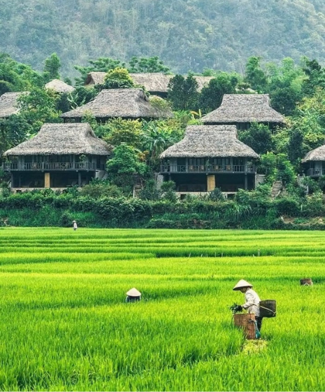 Mai Chau