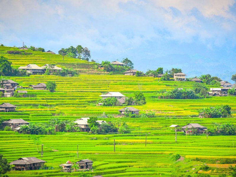 Hoang Su Phi