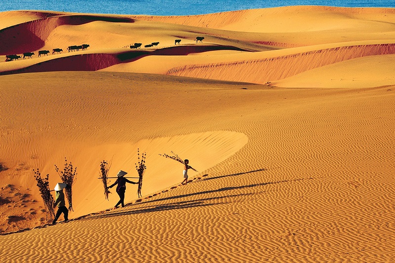 les dunes blanches mui ne binh thuan