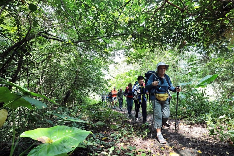 I cinque migliori parchi nazionali del Vietnam