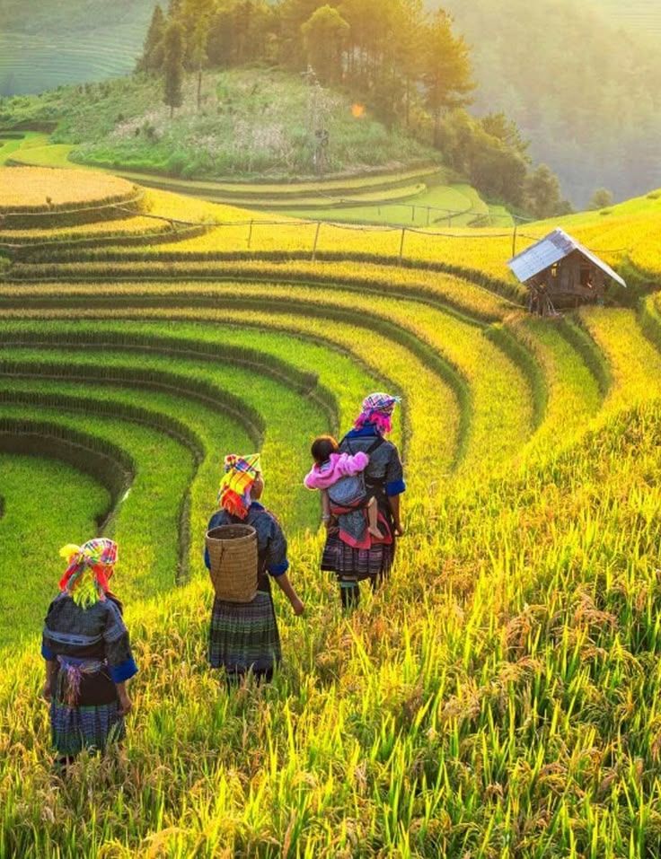 Vietnam a settembre : contemplazione della quintessenza autunnale