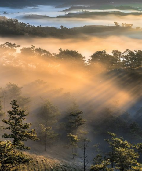 Da Lat : Guida completa della città dell’eterna primavera