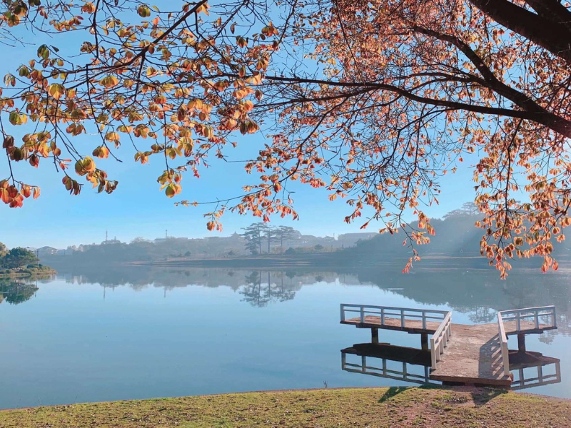lac Xuan huong