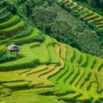 mu cang chai - sa pa